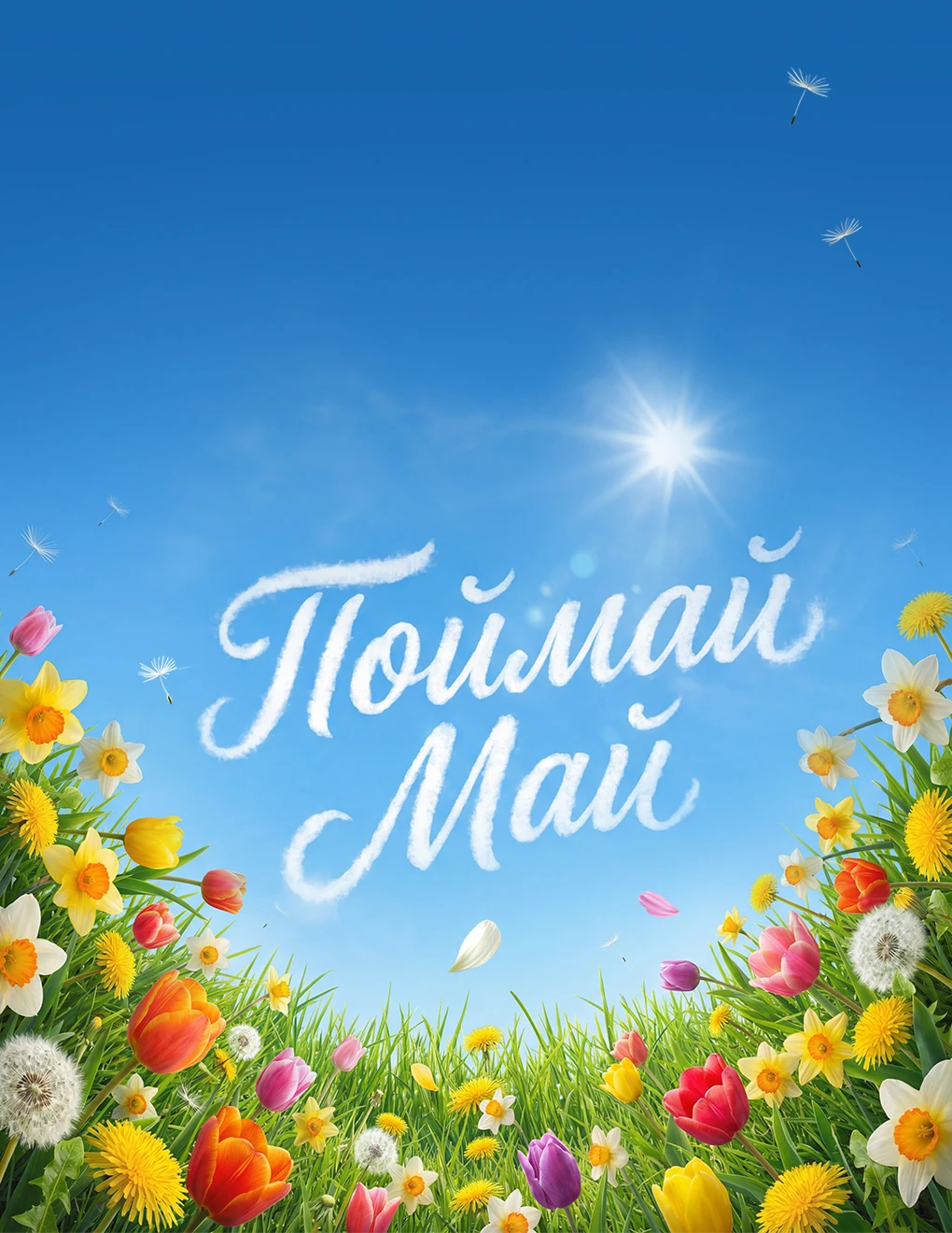 <p>Выгодная акция и ценные подарки!</p>