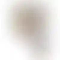 План квартиры