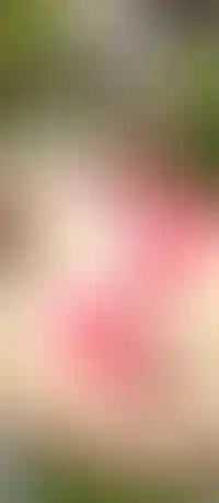 Современные дворы: для детей, спорта и отдыха