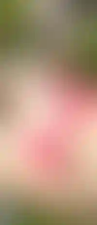 Современные дворы: для детей, спорта и отдыха