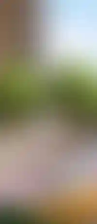 Жизнь в городе-парке