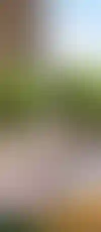 Жизнь в городе-парке