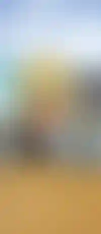 Школы и детские сады во дворах