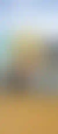 Школы и детские сады во дворах