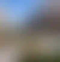 Концептуальное благоустройство двора