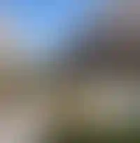 Концептуальное благоустройство двора