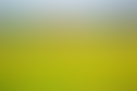 Жизнь в поселке круглый год