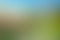 Панорамный вид