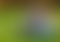 Панорамный вид