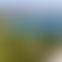 Земельные активы