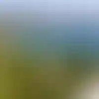 Земельные активы