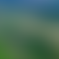 Земельные активы