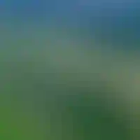 Земельные активы