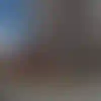 Новоград Павлино