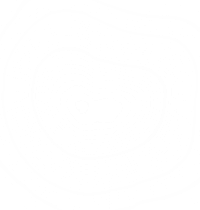 Концепция проекта